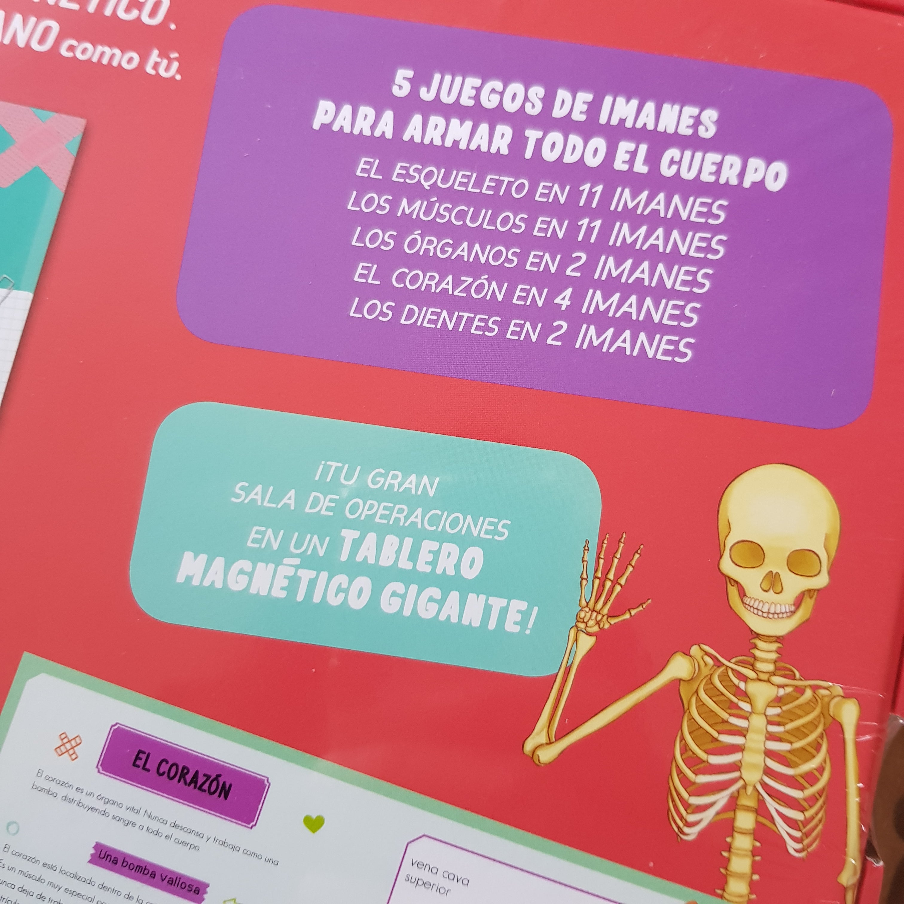 Aprende sobre el Cuerpo Humano Aprende sobre el Cuerpo Humano